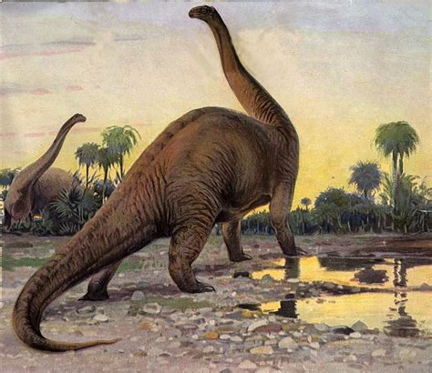 8 Interesting Facts About Brontosaurus - OhFact!