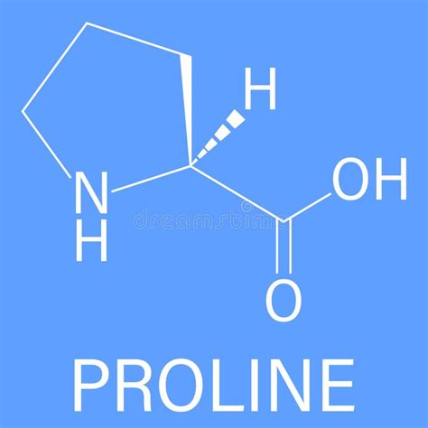 Proline or L-proline, Pro, Amino Acid Molecule. Skeletal Formula Stock ...