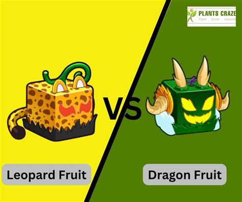 Leopard Vs Dragon In Blox Fruits: Guide For Beginners