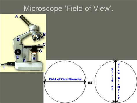 PPT - Practicing in Measuring PowerPoint Presentation - ID:357369