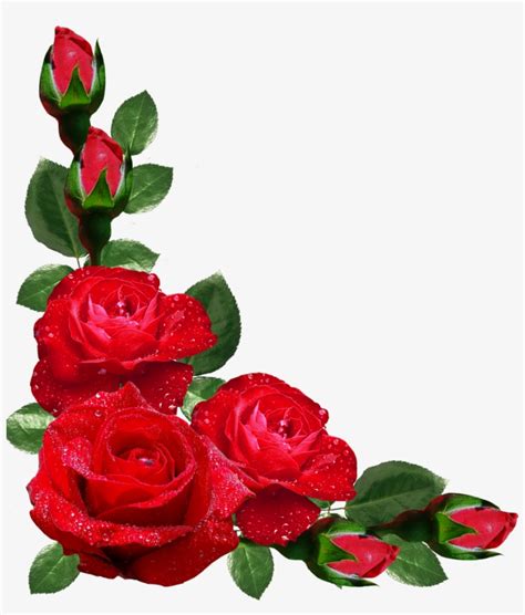 Red Roses Border Png - Rose Corner Border Png Transparent PNG ...