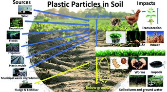 Plastic particles in soil: state of the knowledge on sources ...