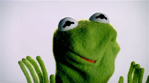 Muppet Stuff: Muppet Thought of the Week - Kermit the Frog Up Close!