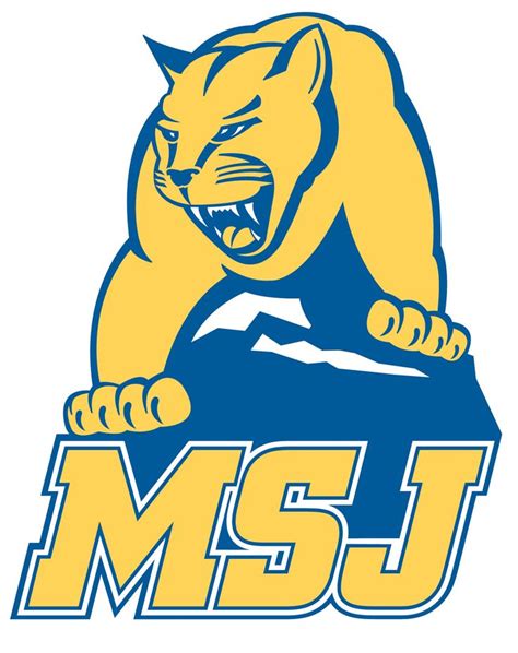 Mount St. Joseph Athletics | Team colors, Lions team, Color coding