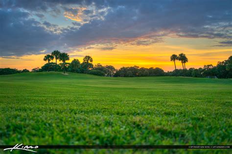 Green Grass Sunset at Golf Course