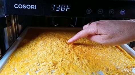 How to Dehydrate Eggs at Home | Make Powdered Eggs in a Food Dehydrator ...