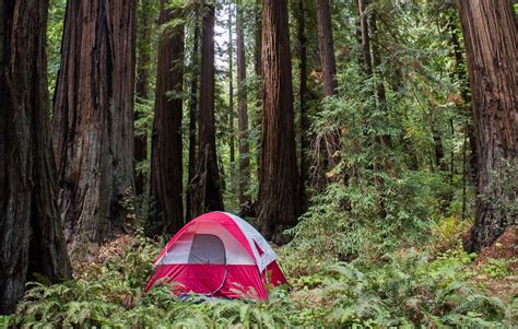 Redwood National Park features prime social distance camping - Save the ...