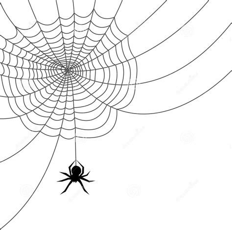 Spider web clipart etc – Clipartix