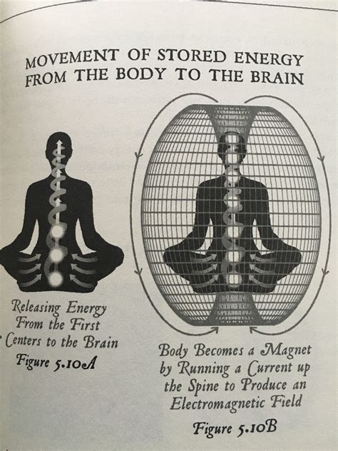 Meditation ~ Empty the Mind - The Light Gap