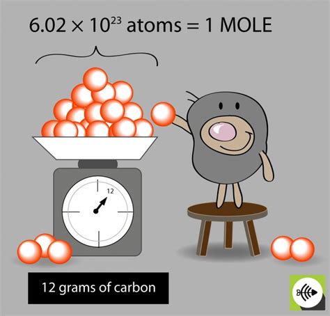 Avogadro's Constant - Surfguppy - Chemistry made easy - visual learning