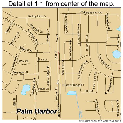 Palm Harbor Florida Street Map 1254350