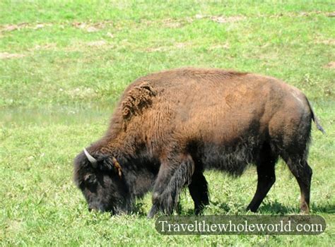 Traveling in Sioux Falls, South Dakota