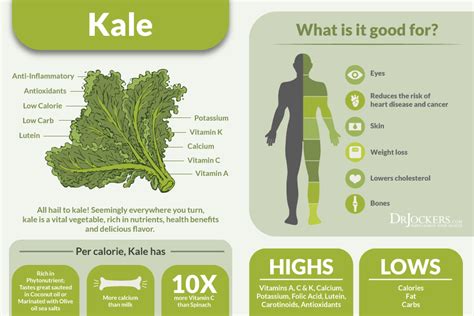 6 Incredible Health Benefits of Kale - DrJockers.com