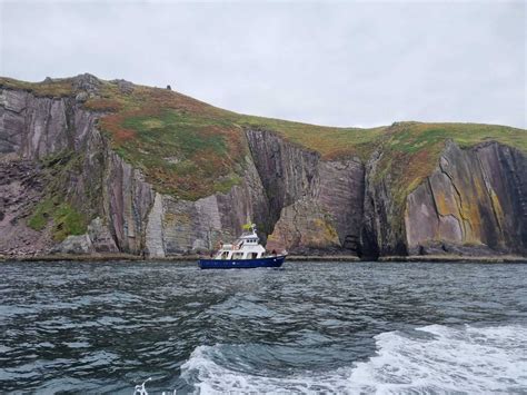 Our Tours - DingleDolphin.com