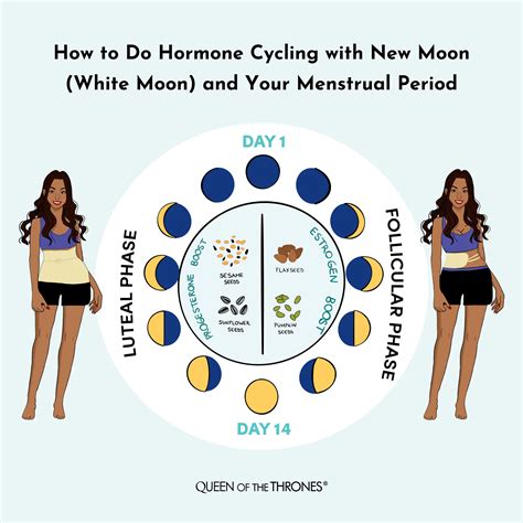 How your menstrual cycle is connected to nature and the moon cycles ...