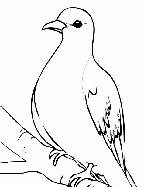 Free Free Dove Coloring Page, Download Free Free Dove Coloring Page png ...