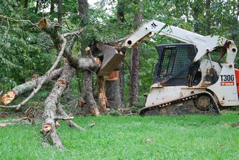 Tree Pruning Services - Outdoor Contracting, Inc. - Outdoor Contracting ...