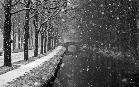 Black and White Winter Wallpapers - Top Free Black and White Winter ...