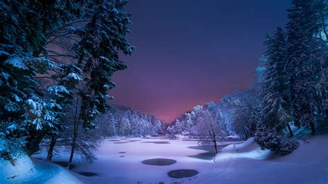 Snowy Forest Night Wallpapers - 4k, HD Snowy Forest Night Backgrounds ...