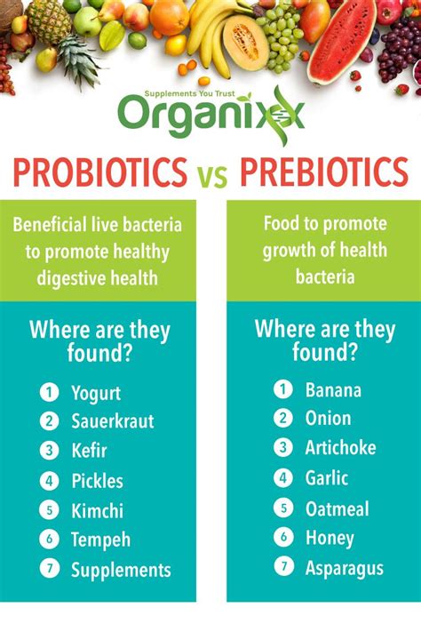 The Best Prebiotic Foods and Why You Need Them | Prebiotic foods, Best ...