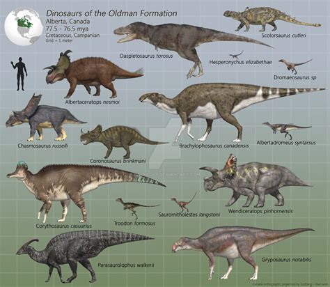 Dinosaurs of the Oldman Formation | สัตว์, สัตว์สตัฟฟ์, ยุคก่อนประวัติ ...