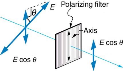 Polarization | Physics