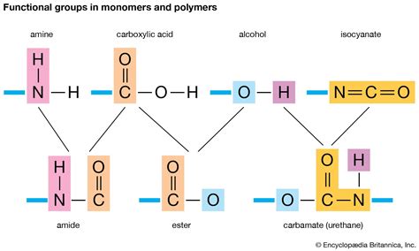 Polymerization | Definition, Classes, & Examples | Britannica