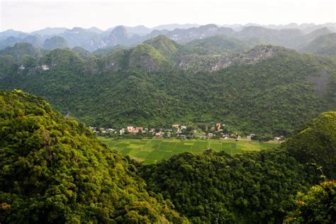 Planted forests in Vietnam enhance ecosystem goods and services - CIFOR ...