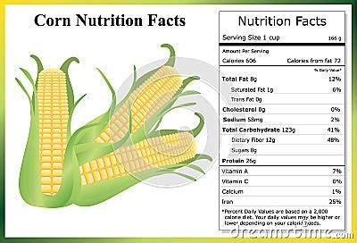 Corn Nutrition Facts Stock Vector - Image: 56572412