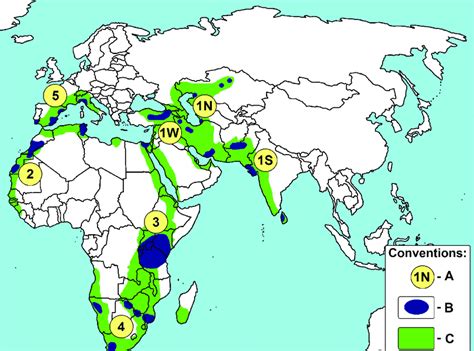 The range of the greater flamingo in the Old World: A-breeding ...