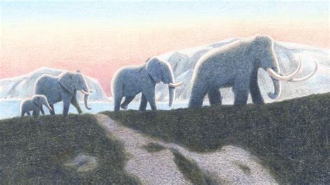 De-extinction: When Woolly Mammoths Return | Atmos