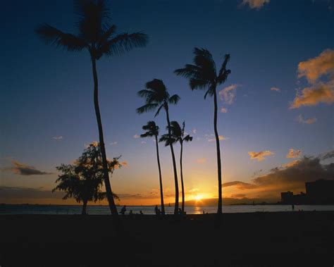 Hawaii | Hawaii vacation, Dream vacations, Palm tree sunset