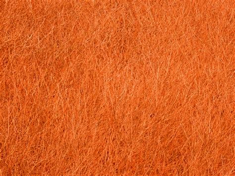 Orange Texture Background Free Stock Photo - Public Domain Pictures