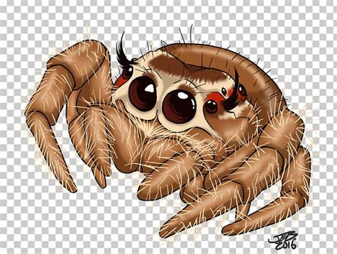 Jumping Spider Drawing Tattoo PNG, Clipart, Animal, Art, Arthropod, Can ...