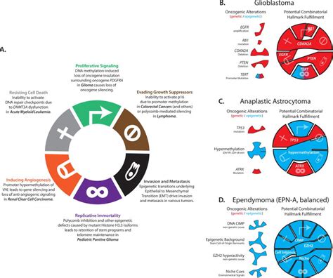 Cancer Epigenetics – Bernstein Lab