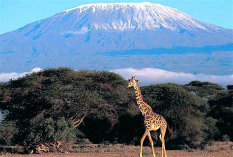 Mountain Kilimanjaro National Park | Tanzania Safaris Tours | Tanzania