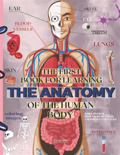 THE FIRST BOOK FOR LEARNING THE ANATOMY OF THE HUMAN BODY: An ...