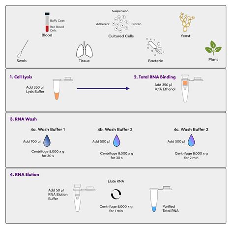 High Quality RNA Extraction Kit - Chromatrap