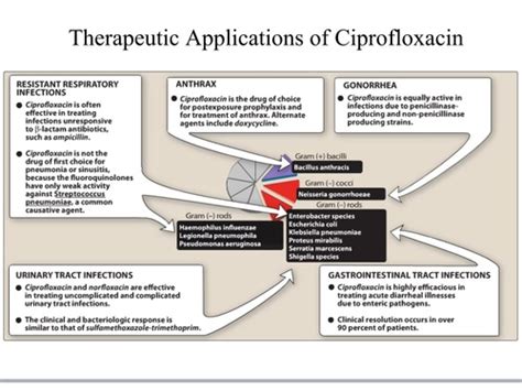 Quinolone Antibiotics Flashcards | Quizlet