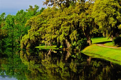 Middleton Place Plantation - Louis Dallara Photography