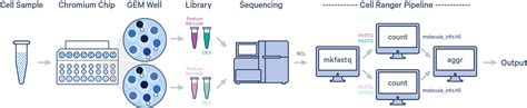 What is Cell Ranger? -Software -Single Cell Gene Expression -Official ...