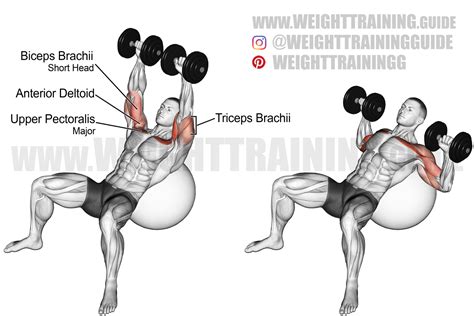 Incline dumbbell press on a stability ball exercise instructions and video