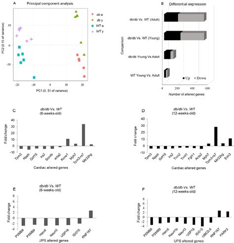 Figure 1 from Ubiquitin Proteasome System Role in Diabetes-Induced ...