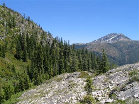 Best Hikes in Six Rivers National Forest (CA) - Trailhead Traveler