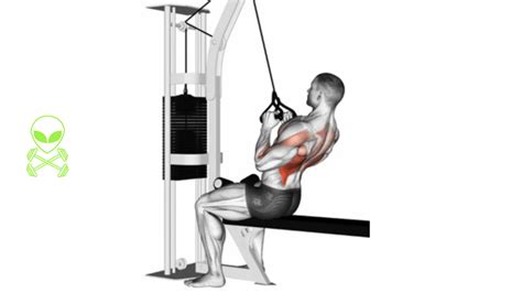 Close Grip Lat Pulldown 101 | Form, Benefits, And Variations!