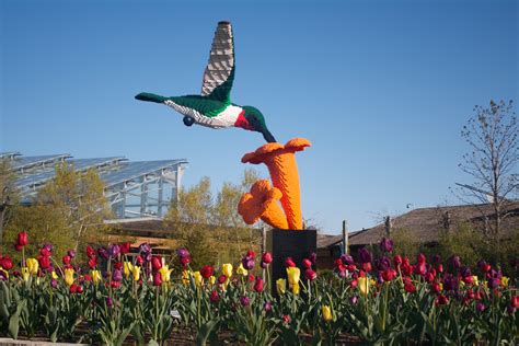 Hummingbird Nature Connects LEGO - Lewis Ginter Botanical Garden