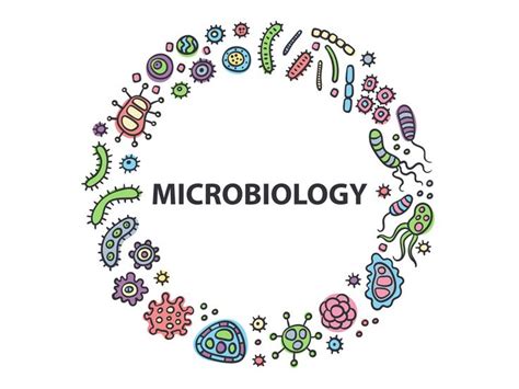 Microbiology Logo by Vasilinka