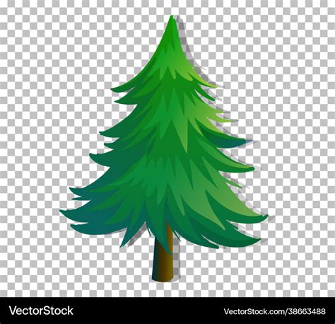 An evergreen tree on transparent background Vector Image