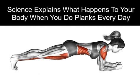 The 4 Main Benefits of the Plank... - Island Yoga Coronado