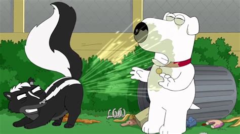 Skunk spray slomo * Family Guy - YouTube